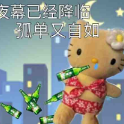 fdu文化小题整理卡包封面