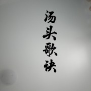汤头歌诀随时背 随时查卡包封面