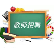 教师招聘考试《小学数学》题库卡包封面