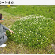 方剂学卡包封面