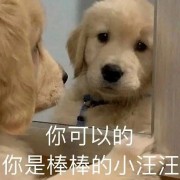 周三多管理学原理卡包封面