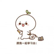 2021年CPA经济法知识点大杂烩卡包封面