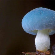 黄廖版现代汉语简答卡包封面