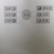 小学生认知发展与差异卡包封面
