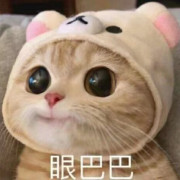 王江涛必背作文词汇卡包封面