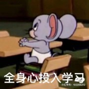 福建教师招聘考试大题背诵卡包封面