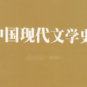 中国现代文学史考试题库卡包封面