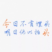 生化小题卡包封面