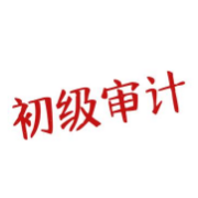 初级审计师《审计理论与实务》真题精选＋章节题库卡包封面