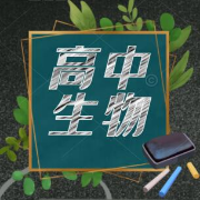 高中生物核心知识汇总177条卡包封面