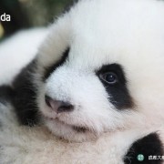 零散知识点卡包封面