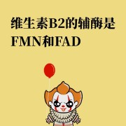 生理学考前冲刺卡包封面