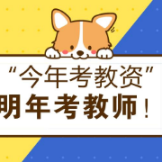 教资《综素+教知（中学）》题库卡包封面