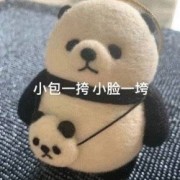 护理考研选择题之药物卡包封面