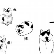 外科学2卡包封面