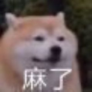 【MTI】词汇辨析卡包封面