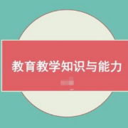 21教资《科二（中小幼）》备考知识点卡包封面