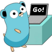 Golang基础测试卡包封面