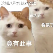 22政报术语词条卡包封面