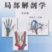 局部解剖学卡包封面
