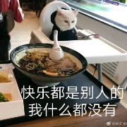 心理学312背诵卡包卡包封面