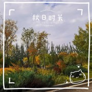 一级注册建筑师-建筑知识卡包封面