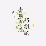 中药学卡包封面