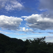 xxlin MTI 汉译英整理卡包封面
