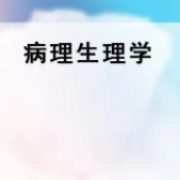 病理生理学名词解释卡包封面