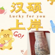 【汉硕】对外汉语教学引论（大题）卡包封面