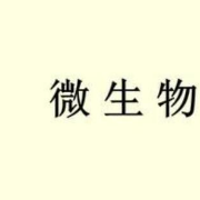 江南大学微生物练习题卡包封面