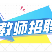 教师招聘考试--教育学卡包封面