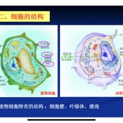 普生卡包封面
