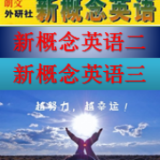 新概念英语二、三卡包封面