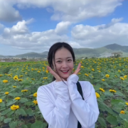 逻辑填空成语卡包封面