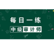 中级审计师《审计专业相关知识》真题精选＋章节题库卡包封面