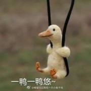华西口腔考研口腔外科学卡包封面