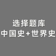 考研313历史学选择题卡包封面