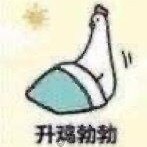 方剂学  方歌卡包封面