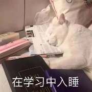 百科背诵卡包封面