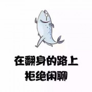 劳卫打印版大题卡包封面