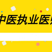 中医执业医师《内科学》题库卡包封面
