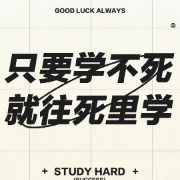 【星号】313历史学考研 世界史名词解释卡包封面