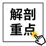 系统解剖学考试重点最全总结卡包封面