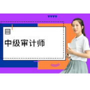 中级审计师《审计理论与实务》真题精选＋章节题库卡包封面