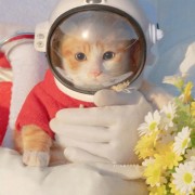 儿科学卡包封面