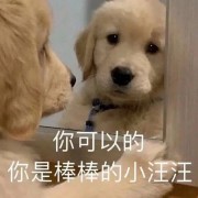 诺贝尔文学奖1901-2021卡包封面