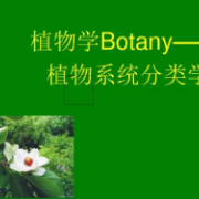 【考研】植物学名词解释卡包封面