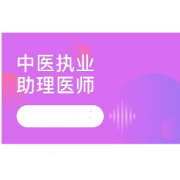 中医执业助理医师题库【真题精选＋模拟试题】卡包封面