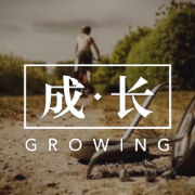 自考—国际贸易理论与实务卡包封面